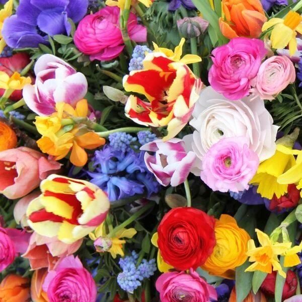 FLORAL