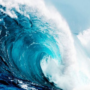 AQUATIC